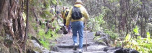 Photo of man hiking up path